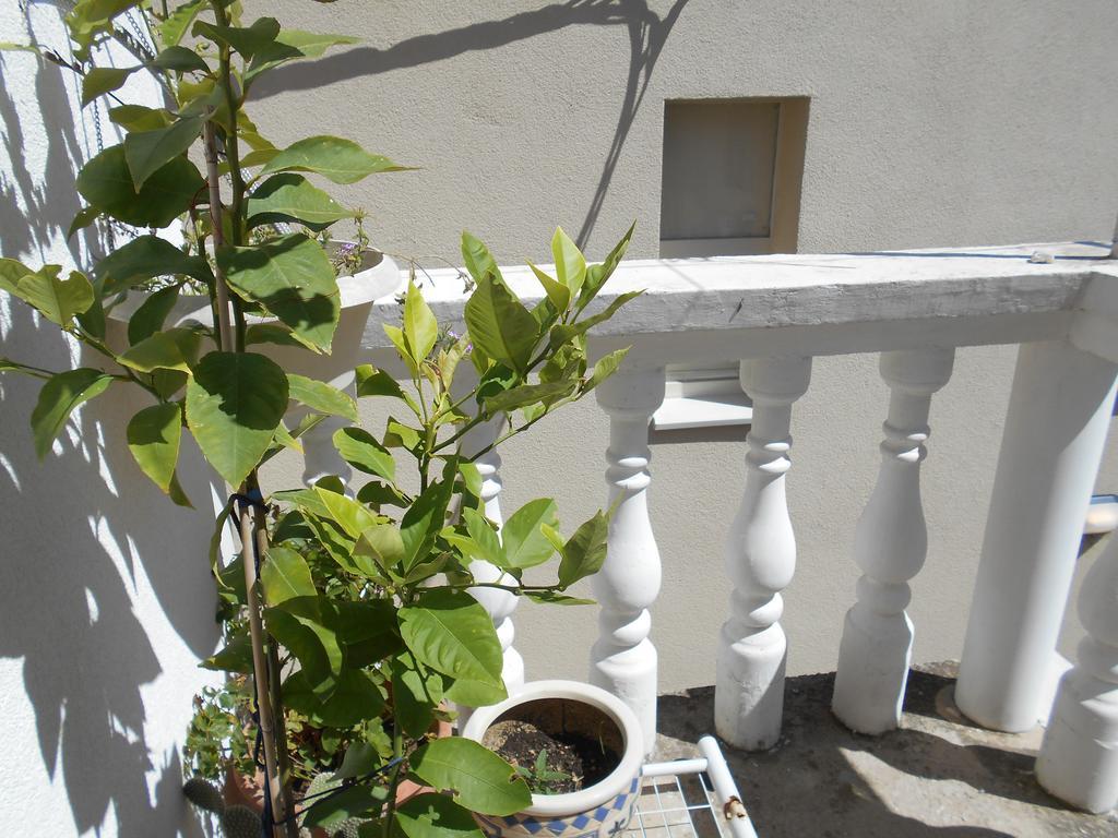 Apartments Ema Šibenik Екстериор снимка